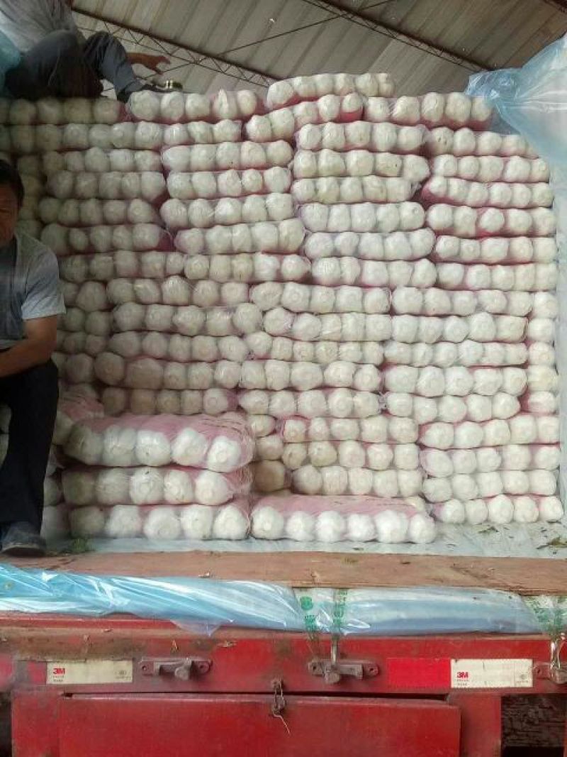 北京新三号