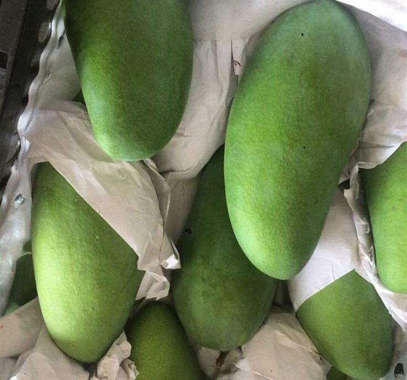 精品大青芒10量以上！口感香甜无酸！果肉细腻，粗纤维少