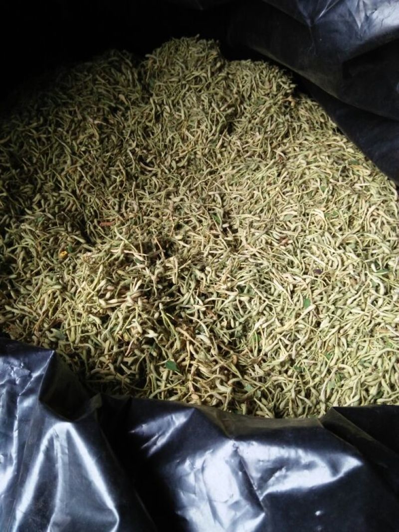 金银花色青花