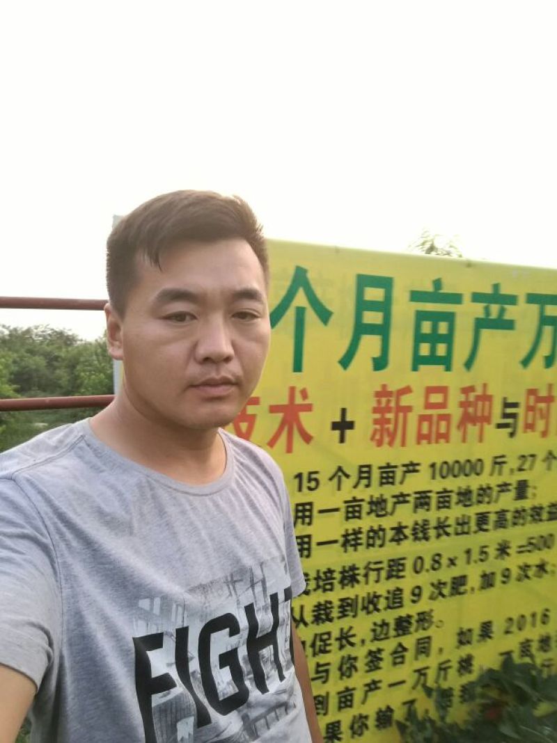 桃树苗80cm以上