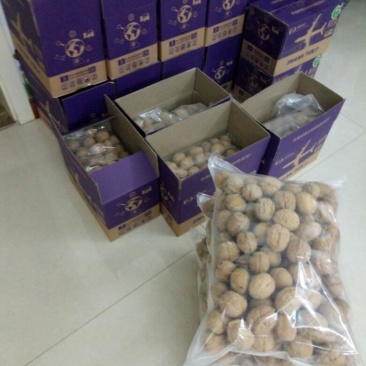 纸皮核桃去皮干