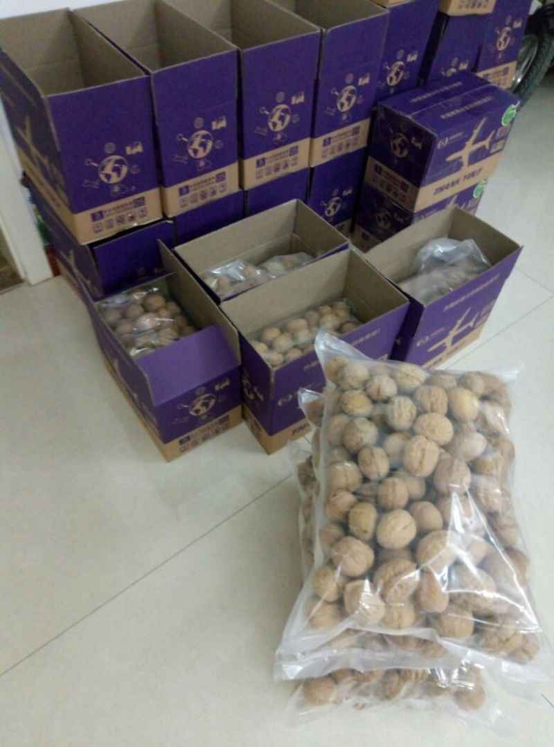 纸皮核桃去皮干