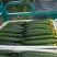 密刺黄瓜鲜花带刺25公分以上