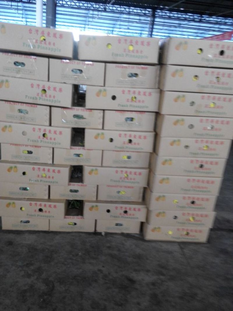 金钻十七号凤梨2.5~3斤
