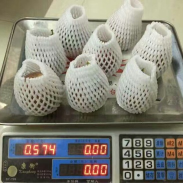 百香果紫果50~60g