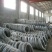 金叶榆12~14cm8~10cm3~3.5m