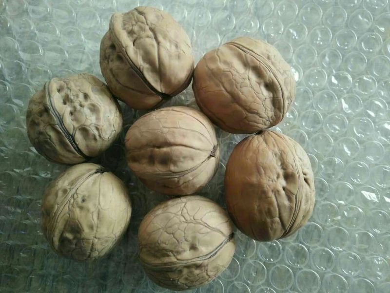 薄皮核桃25mm以下去皮干