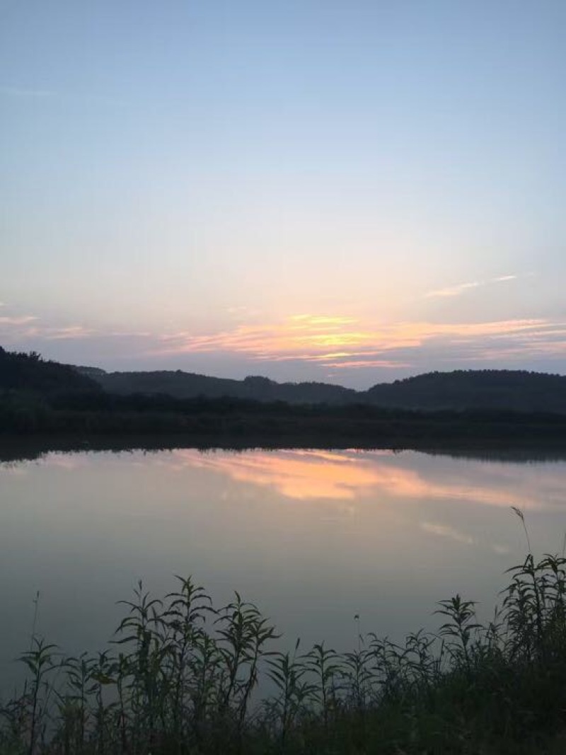 土鸡蛋