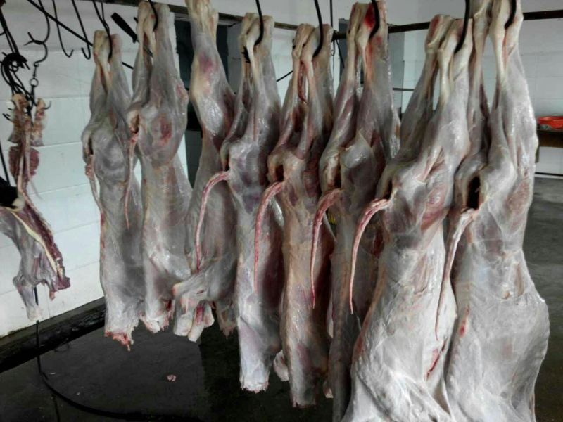 冻牛肉冷冻，后腿肉，前腿肉，脖骨，脊骨
