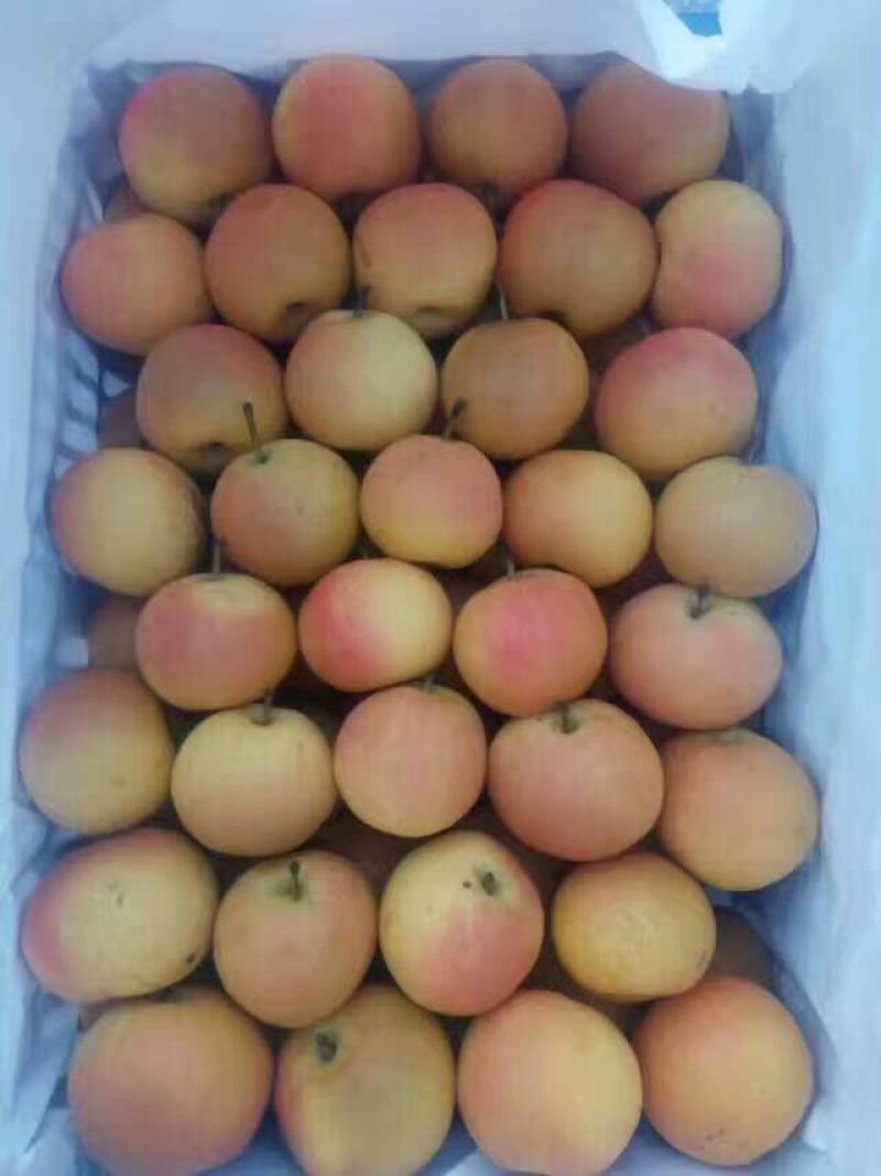 南果梨60~100g筐装