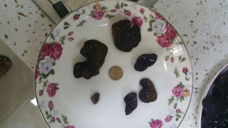 黑木耳特级