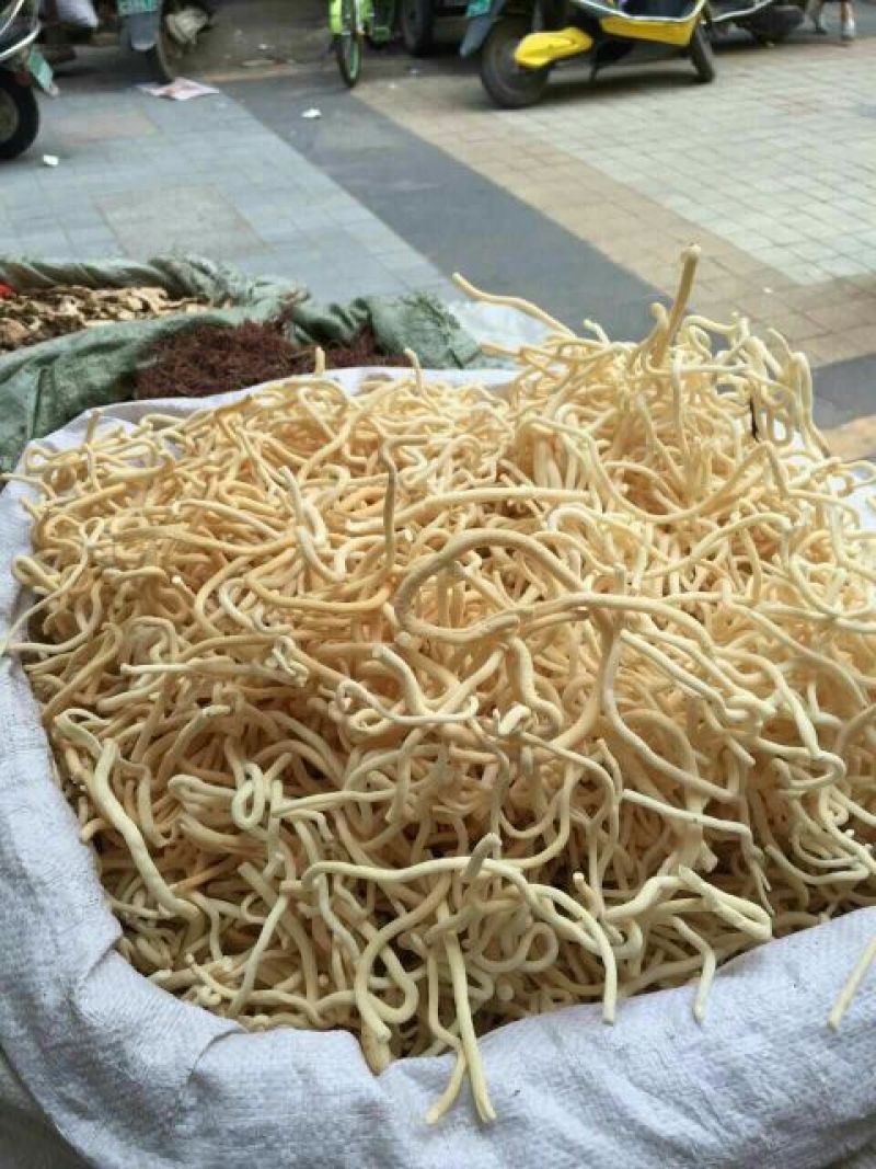小通草