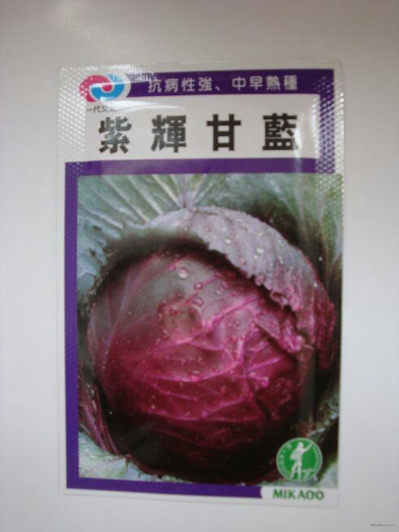 紫甘蓝种子
