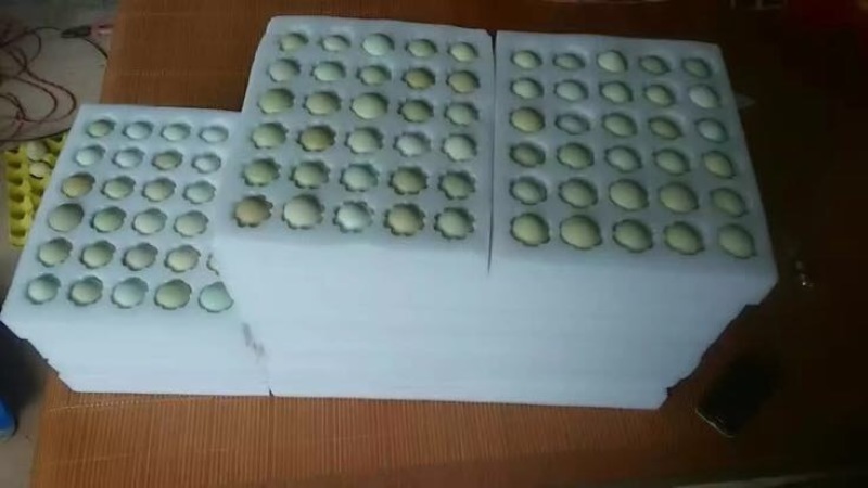 绿壳鸡蛋