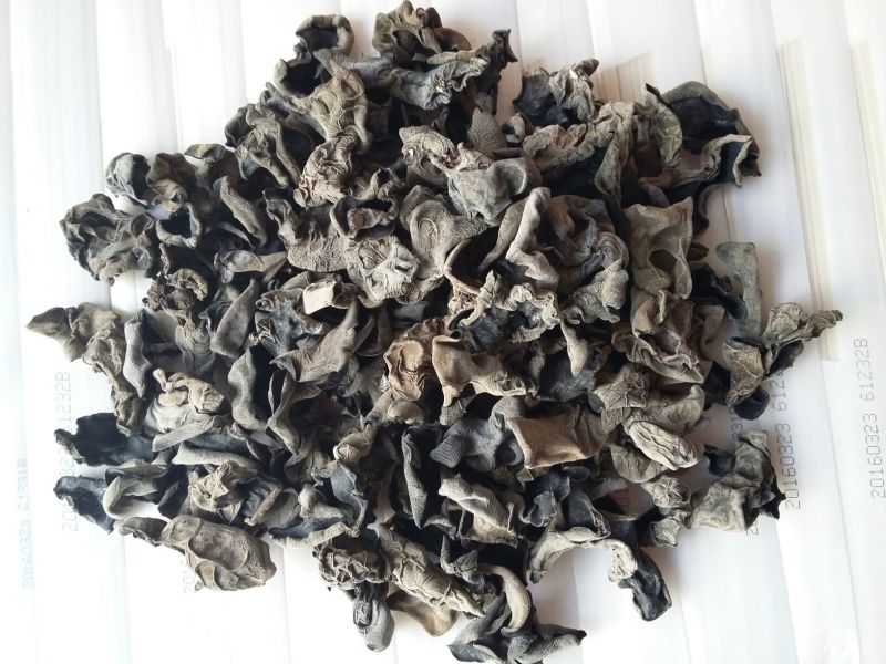 黑木耳一级