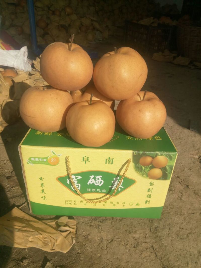 富硒梨400~450g纸箱