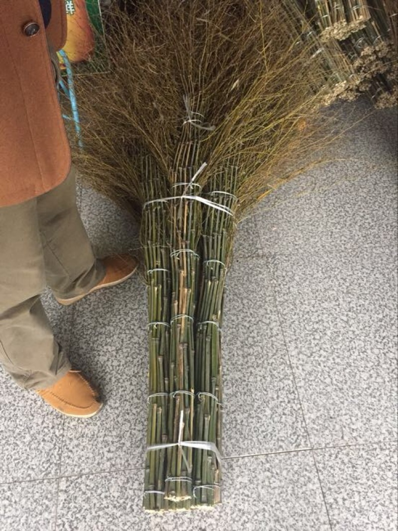 扫帚