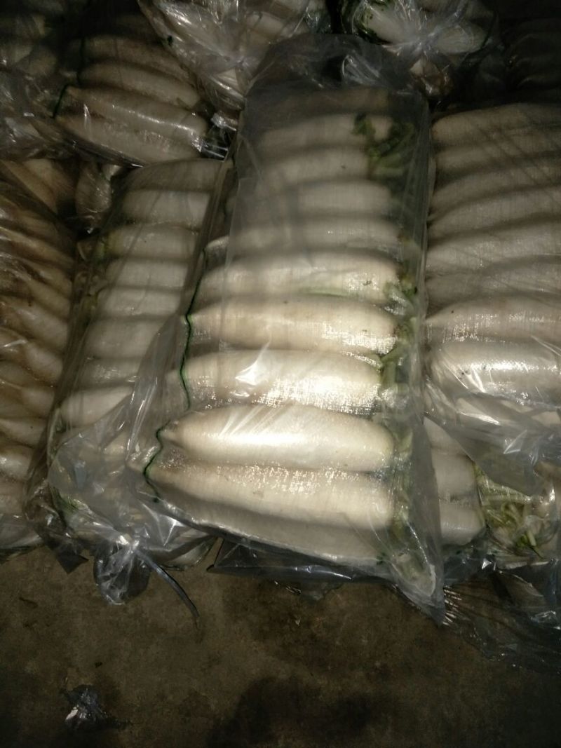 白萝卜1.5~2斤起