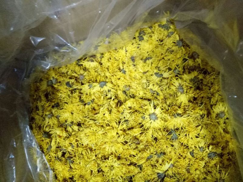 菊花茶