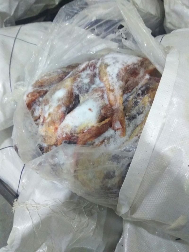 马肉冷冻