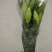 荷兰百合4以上