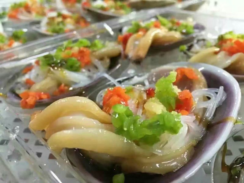 天鹅蛋贝