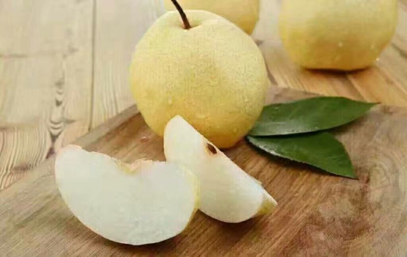 冰糖蜜梨250~300g纸箱