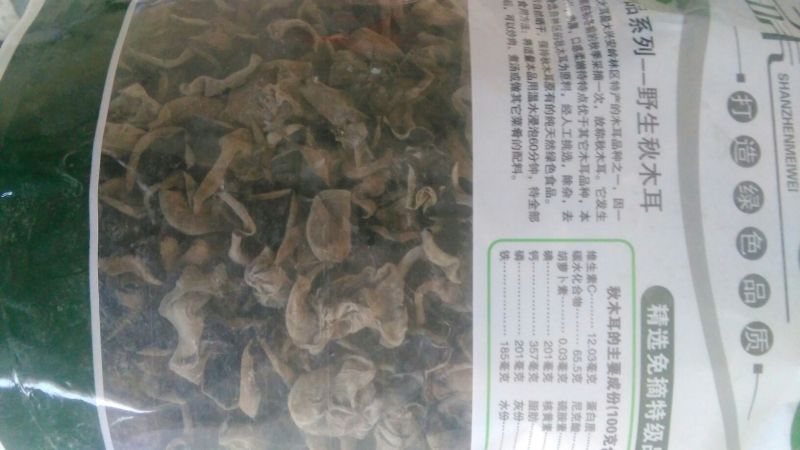 黑木耳