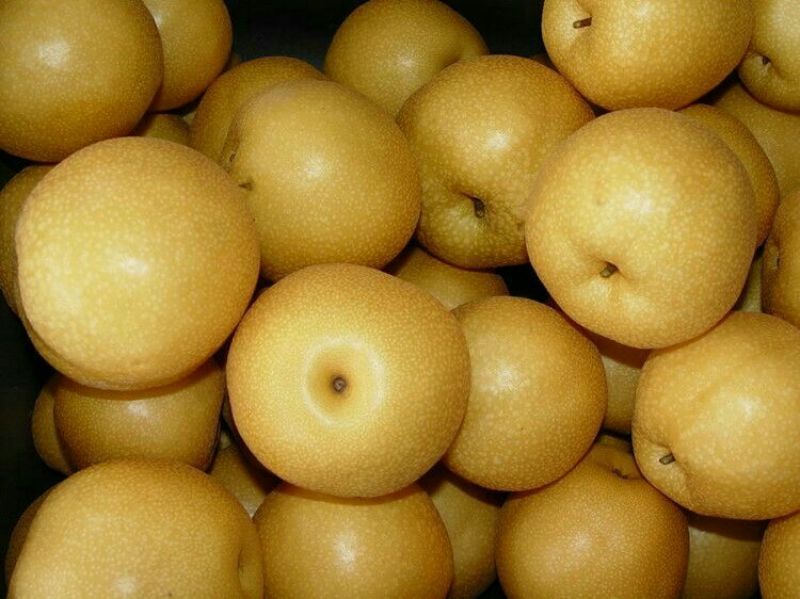 丰水梨350~400g纸袋