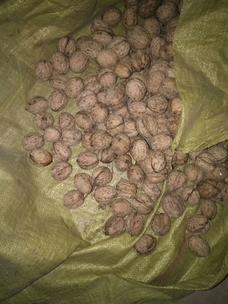 绵核桃去皮干