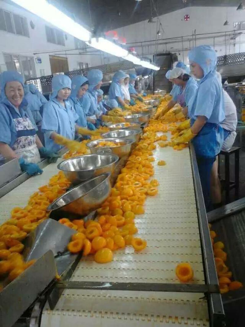 黄桃罐头