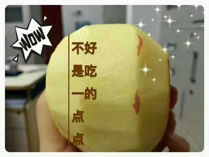 陕西秦冠苹果，光果秦冠，纸代秦冠冷库大量有贷
