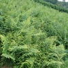 吴剑荣的一亩田店铺