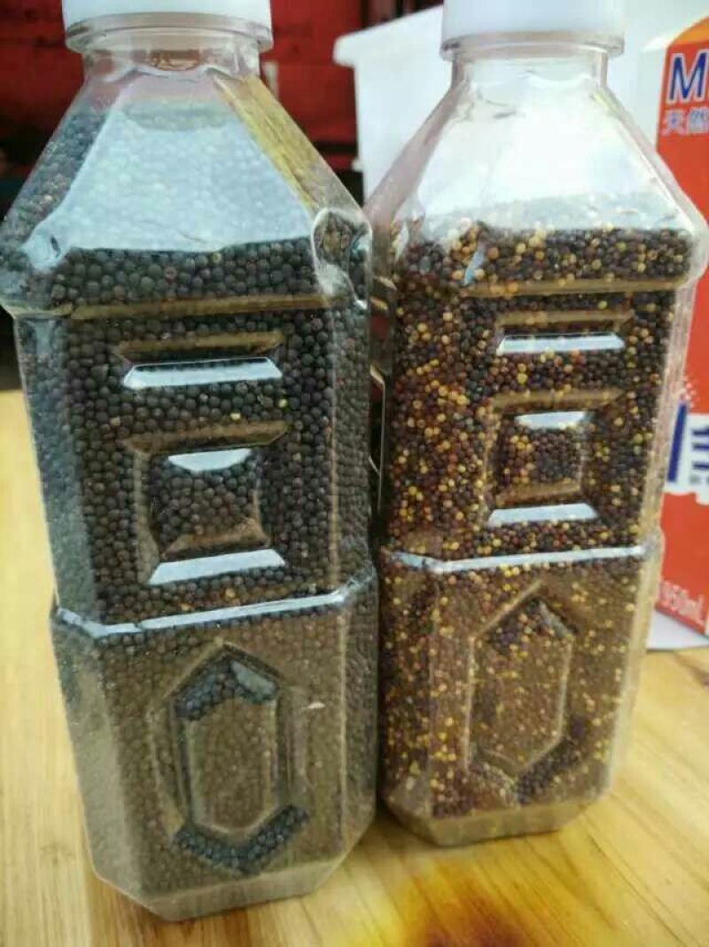 压榨菜籽油四级