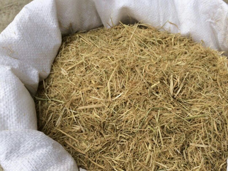 稻草60公分以下