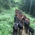 山羊50~100斤/头