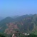 山核桃