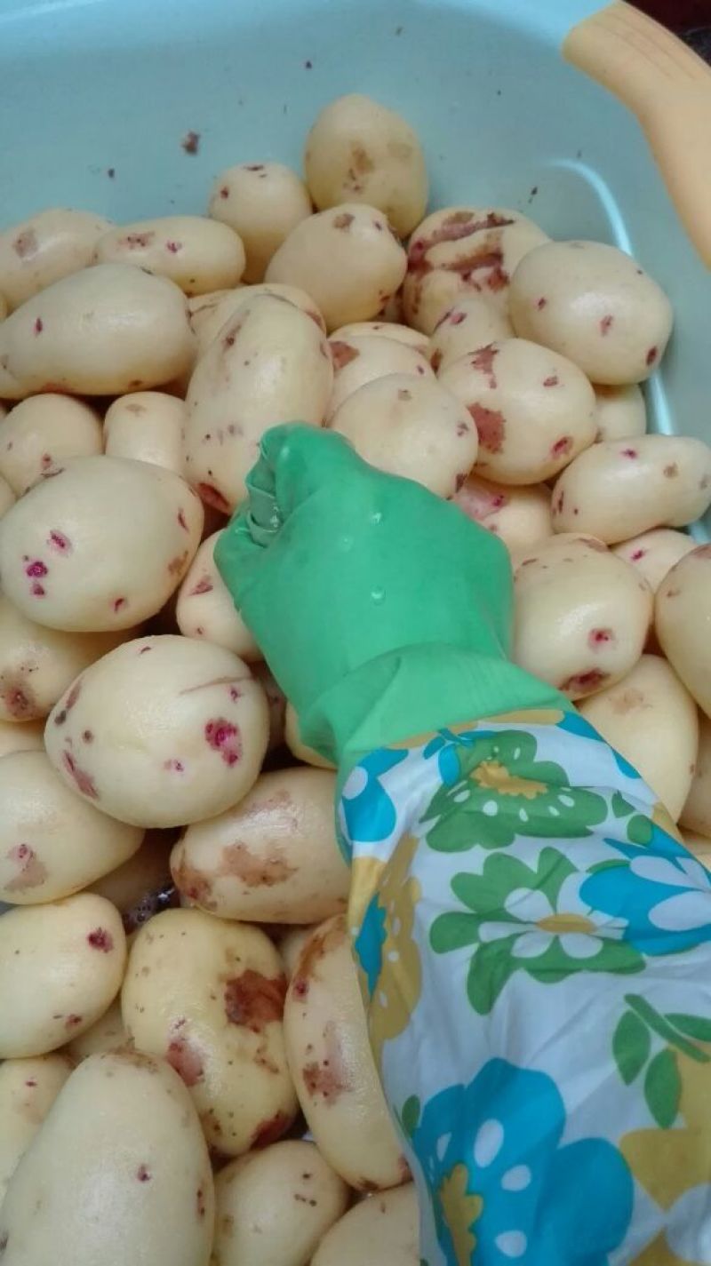 马铃薯淀粉散装