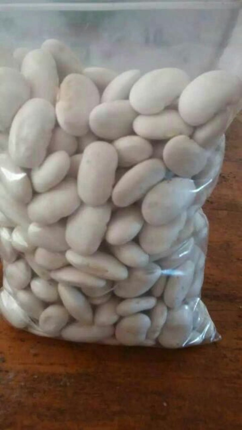 白豆