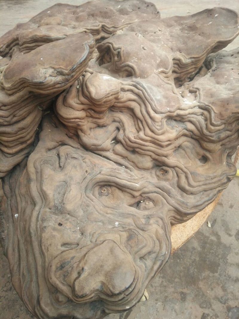 阴沉芝，埋于地下几百上千年乃乌木上所结，线上交易有保障。