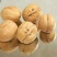 香玲核桃30mm以上去皮干