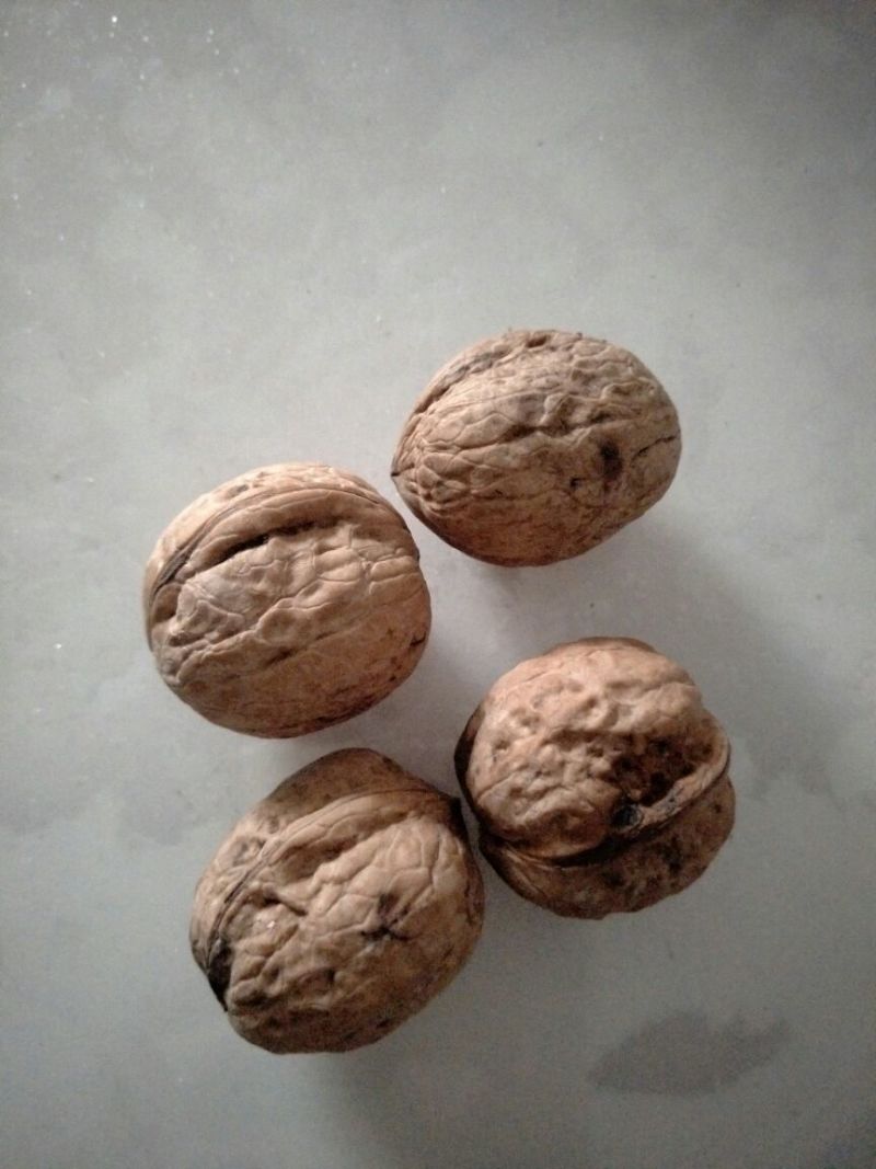 绵核桃去皮干