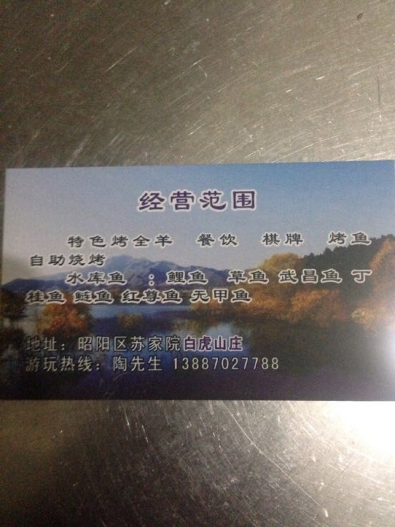 池鲤鱼