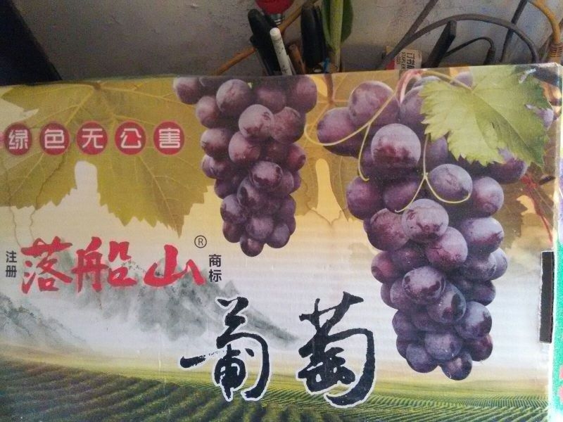巨峰葡萄1~2斤