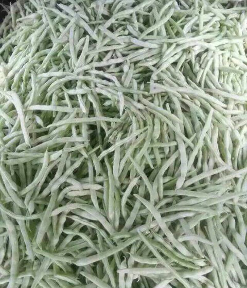 精品白玉豆白不老豆角白不老白不老白不老…………