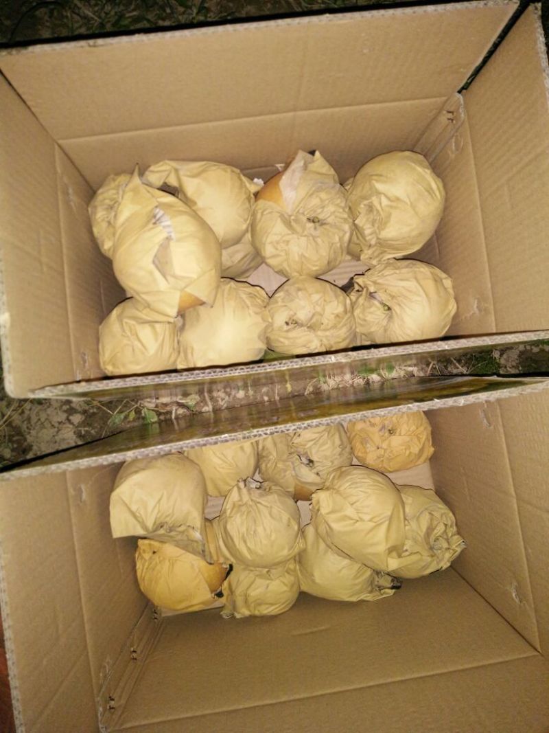 富硒梨200~250g纸袋