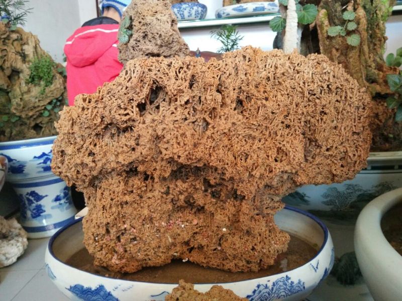上水石石质上品形状各异质量保证规格齐全发货及时