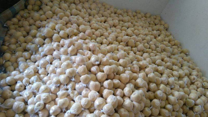 砀山梨200~250g纸箱
