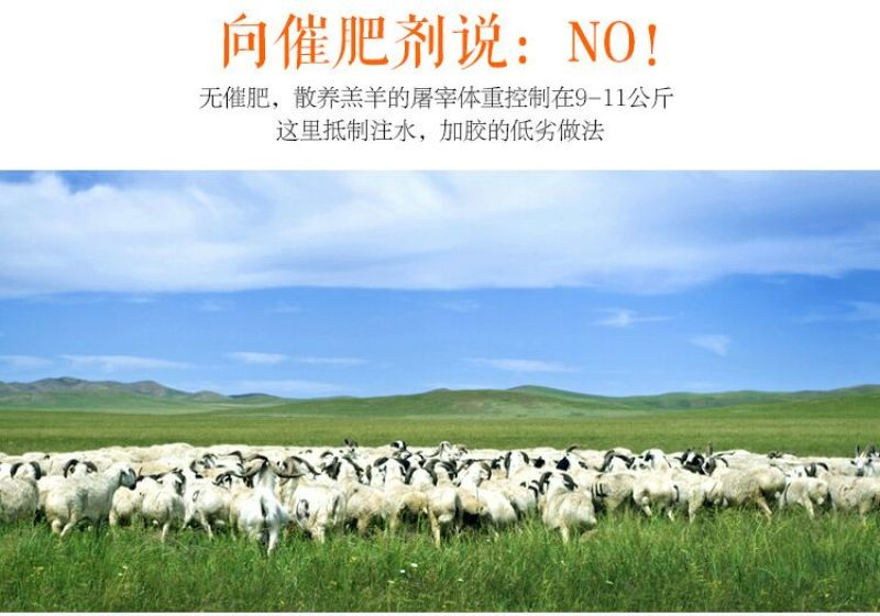 羊白条绵羊肉是