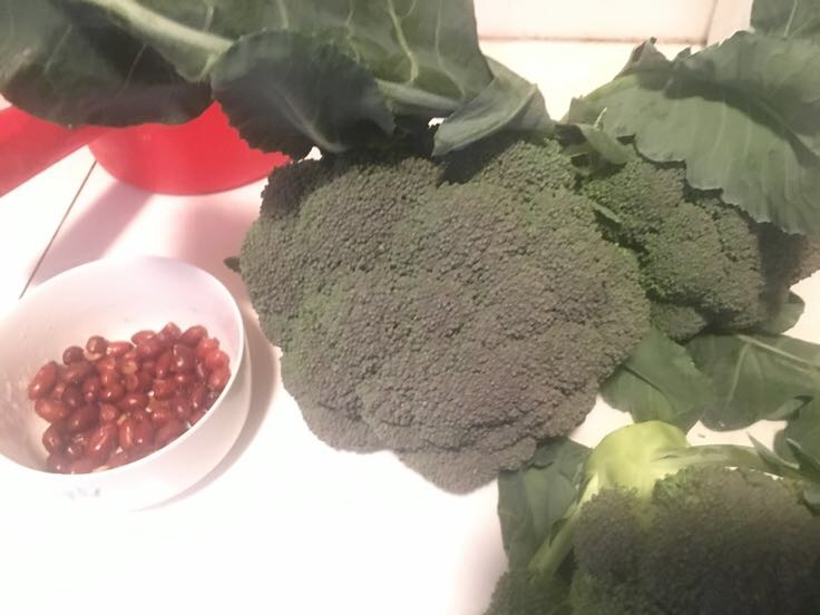 油菜与豆腐同食示意图